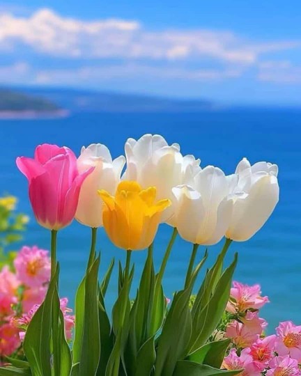 تقدیم به بچه های خوب خبری