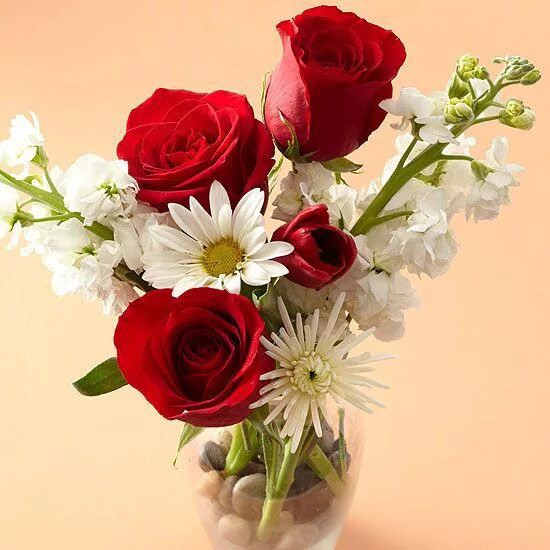 پرنده ای که روی ...💞