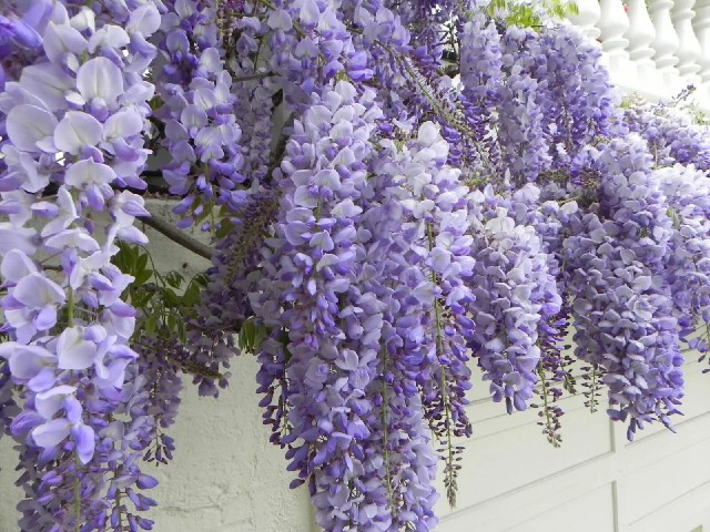 مقایسه خودتان با ...💞