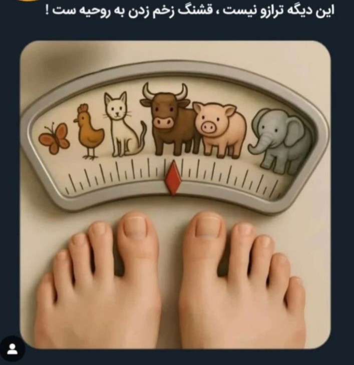 😂😂😪😪