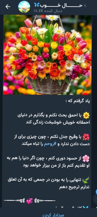 🌺🌺🌺🌺