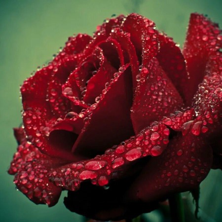 باید بپذیریم که  ...💞