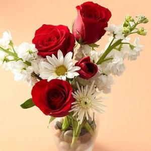 پرنده ای که روی ...💞