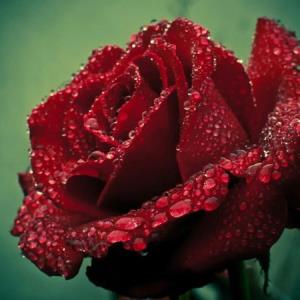 باید بپذیریم که  ...💞