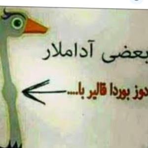 والله