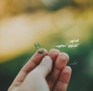 سلام 