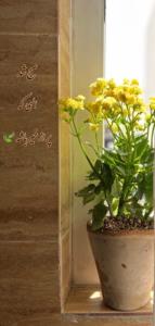سلااااام🫡اول هفته‌تون بخیر☕🌿🌺