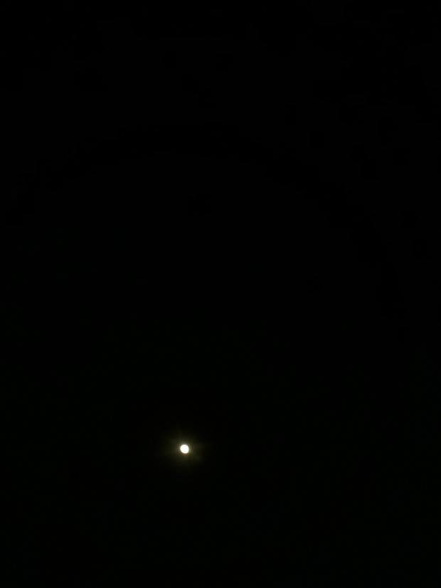 همین قدر جذاب🌚