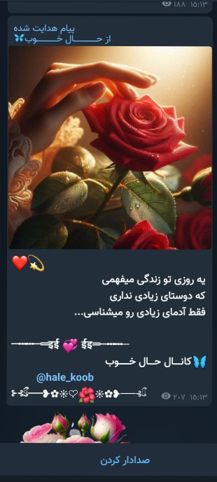 🌺🌺🌺
