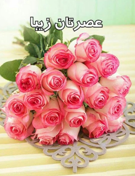 سلام عصرتون زیبا دوستان عزیز ❤️