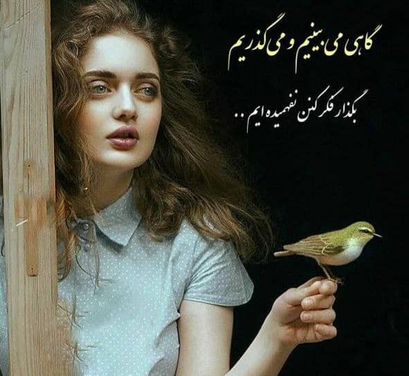 گاهی می بینیم و می گذریم 

بگذار فکر کنن نفهمیده ایم...