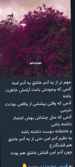 🌷🌷🌷