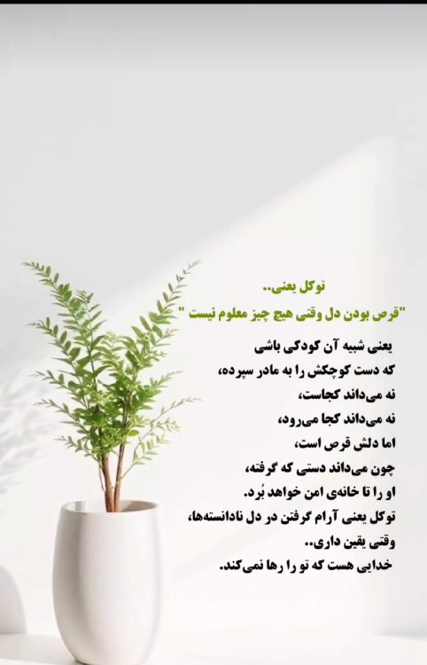دست امن خدا نگهدارتون🙏🏻🙏🏻🙏🏻