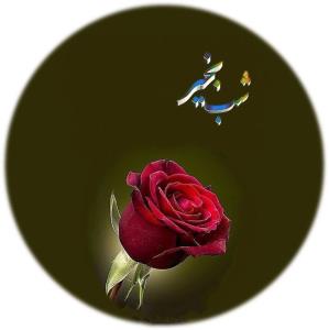 شبتون بخیر❤️