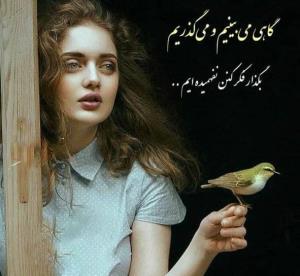 گاهی می بینیم و می گذریم 

بگذار فکر کنن نفهمیده ایم...