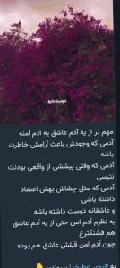 🌷🌷🌷