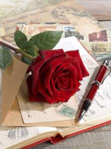 شب بخیر🌹🌛⭐