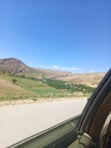 طبیعت گردی 