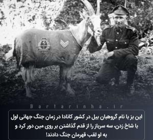 دانستنی ها👌☘️