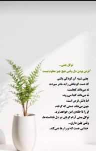 دست امن خدا نگهدارتون🙏🏻🙏🏻🙏🏻