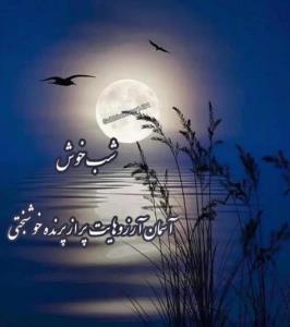 شب خوش خوشگلا 🌹