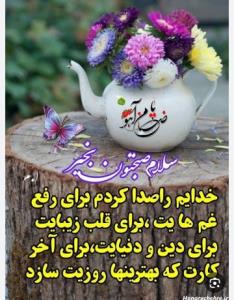 سلام گلا صبحتون بخیر و شادی 🌹🌹
