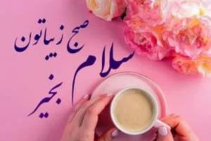 سلام صبح زیباتون بخیر 🌷