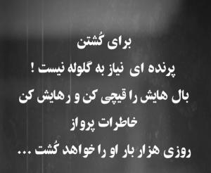 بُکُش  اما قیچی مکن  ....