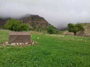 سلام‌شب همگی بخیر 