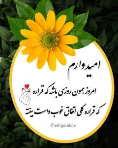 شب بخیر 