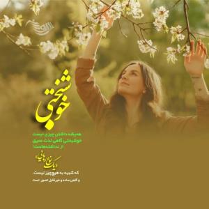 شاید قشنگ ترین دیالوگ دنیا

انجاست که …

پدر ژپتو به پینو کی