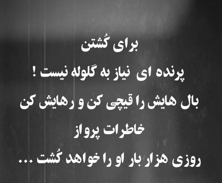 بُکُش  اما قیچی مکن  ....