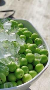 بفرما آلوچه  تگری😋😋🥶🥶