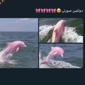 اوخییی