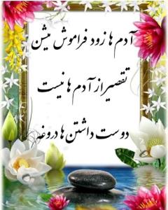دوست داشتن های،دروغی⚘️⚘️⚘️