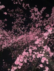 چقدر این دوست داشتن های .