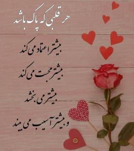 🌹🌹