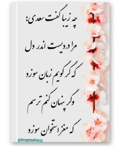 دردی بر دل ❤️ ⚘️⚘️⚘️