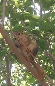 از دست این شیطون چیکار کنم کل باغ رو ریخته بهم😄😄😄