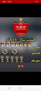 حسرت کیسه۶تایی 