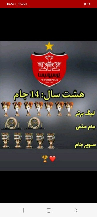 حسرت کیسه۶تایی 