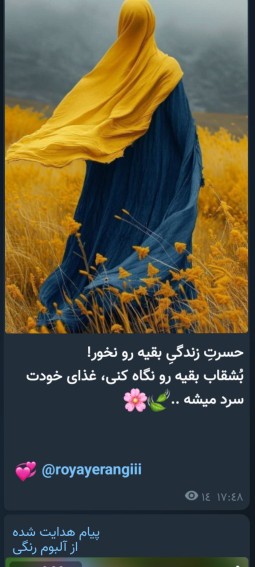 🌷🌷🌷