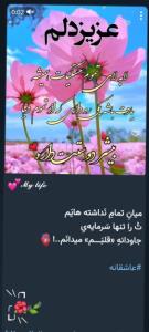 🌷🌷🌷