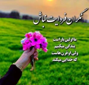 به امید فردایی روشن وپربار،شبتون روئیایی،🦋✨✨🦋