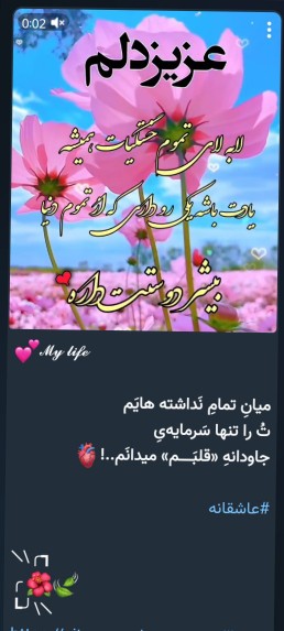 🌷🌷🌷