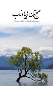 ارسالی...