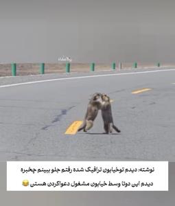 چه باحال هستن😂😂😂😂