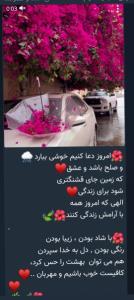 شاد باش و شادی را به دیگران هدیه بده ☺️☺️☺️🌷