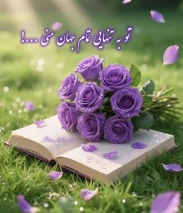 تمام‌ منی ابجی 