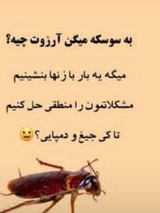 خانما زشته برا یبارم شده ی جلسه بزارین لطفا😀